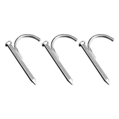 Qualität  High Hardness Galvanized Pipe Hook Nails Support Customization usine